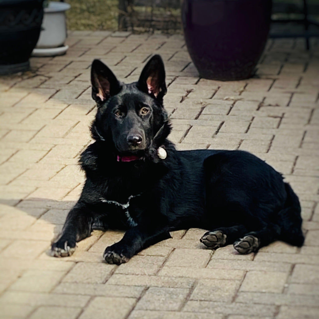 AVA